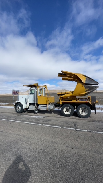 Established transplanted spruce trees flanking modern home
