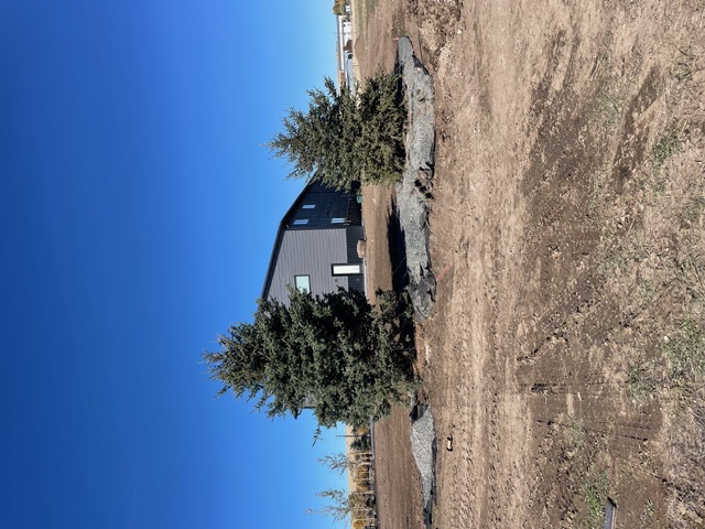 Tree spade truck transporting large spruce tree